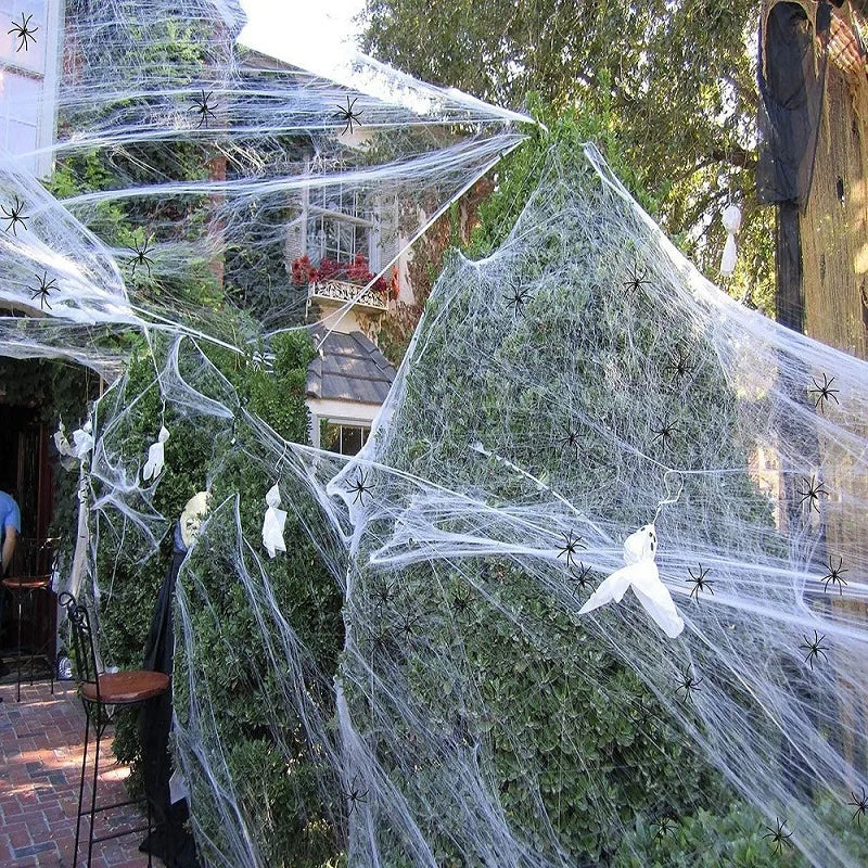 Halloween decoratie spinnenweb